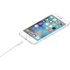 Кабель Apple USB-A - Lightning Cable 2.0m (Белый)