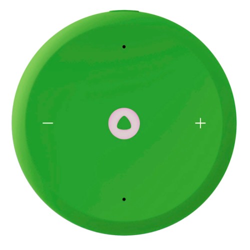 Умная колонка Яндекс Станция Лайт 2 (Зеленая)