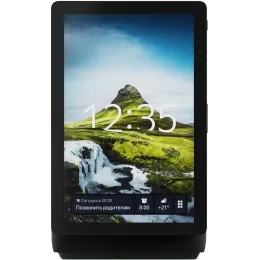 Умная колонка Яндекс Станция Макс Дуо Zigbee (Зеленая)