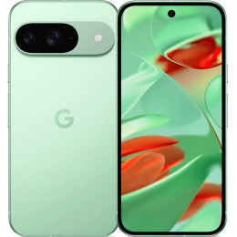 Телефон Google Pixel 9 12/128 ГБ цвет: зимне-зелёный (Wintergreen)