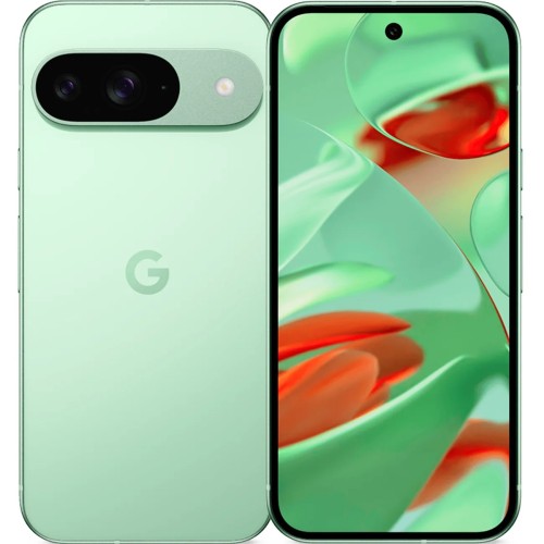 Телефон Google Pixel 9 12/128 ГБ цвет: зимне-зелёный (Wintergreen)