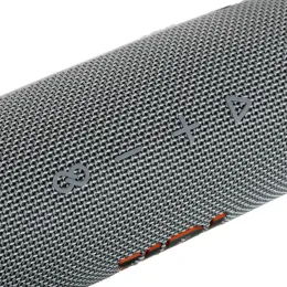 Портативная акустика JBL Flip 6 (Серая)