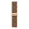 Часы Apple Watch Series 11 42mm Gold Titanium Case, Milanese Loop (Gold)