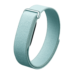 Фитнес-браслет Google Fitbit Air (Fog)