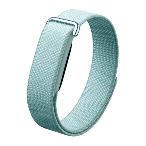 Фитнес-браслет Google Fitbit Air (Fog)