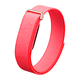 Фитнес-браслет Google Fitbit Air (Berry)
