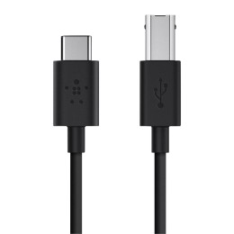 Кабель Belkin USB-C — USB-B (USB 2.0) (2 м) (F2CU035)
