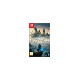 Игра Hogwarts Legacy для Nintendo Switch, русские субтитры