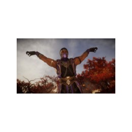 Игра Mortal Kombat 11 для Nintendo Switch, русские субтитры - изображение 2