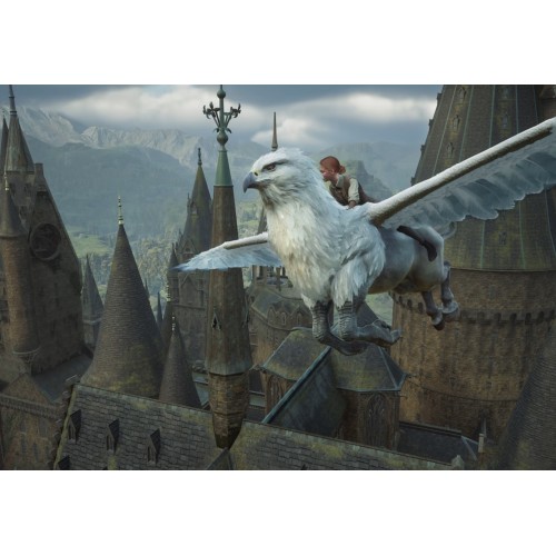 Игра Hogwarts Legacy для Nintendo Switch 2, русские субтитры - изображение 2