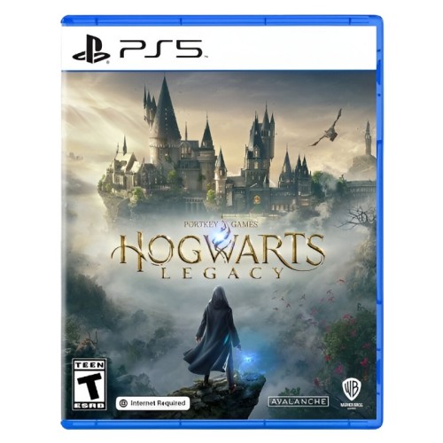 Игра Hogwarts Legacy для PlayStation 5 (PS5), русские субтитры