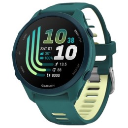 Часы Garmin Forerunner 170 Music 43mm (Green)