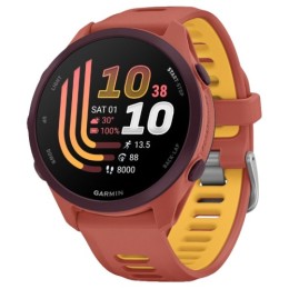 Часы Garmin Forerunner 170 Music 43mm (Red Pink)