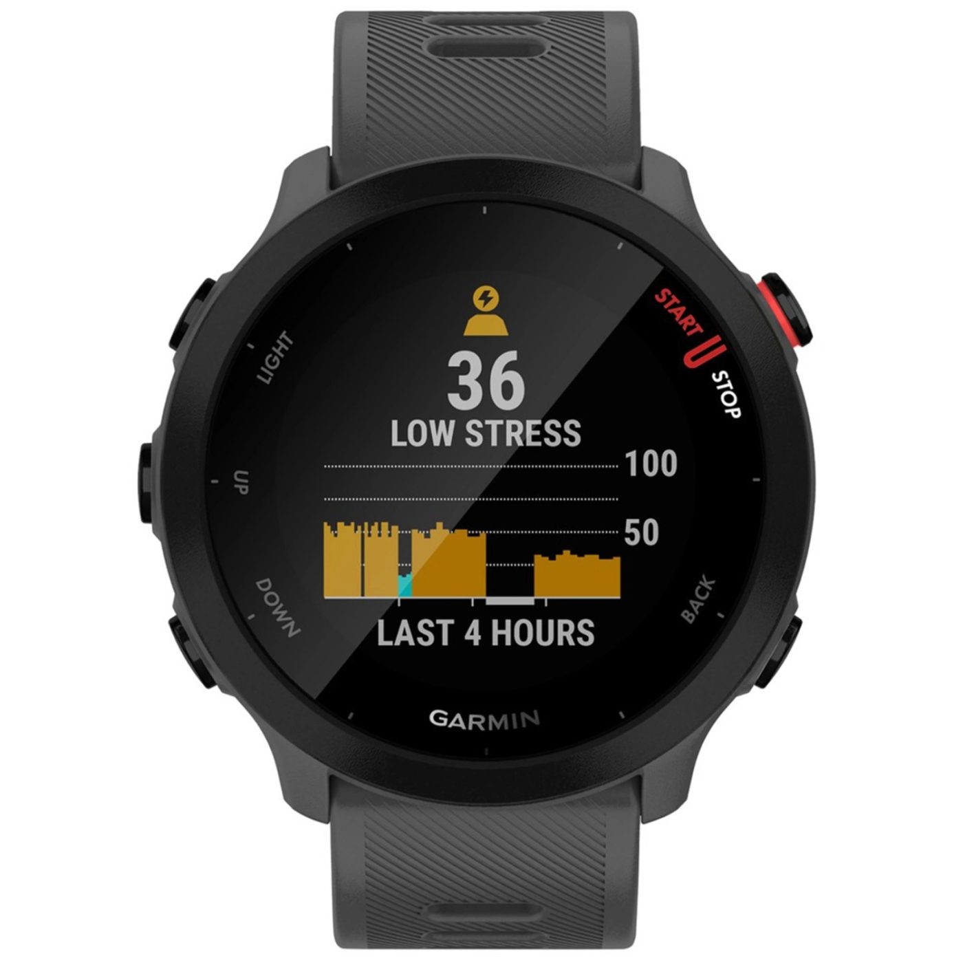Умные часы Garmin FORERUNNER 55 42mm в сером цвете
